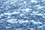 Antarctica photos 2 435